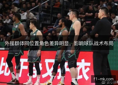 外援群体同位置角色差异明显，影响球队战术布局