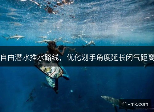 自由潜水推水路线，优化划手角度延长闭气距离