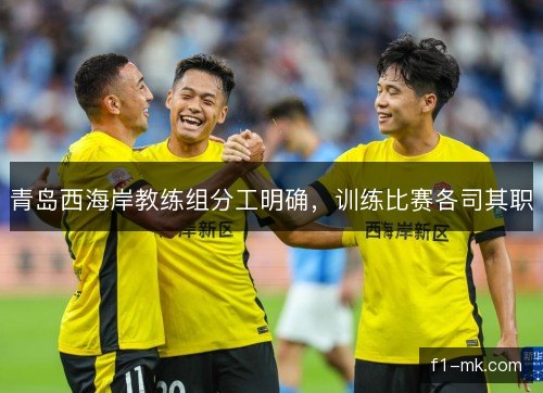 青岛西海岸教练组分工明确，训练比赛各司其职